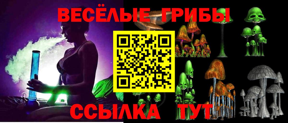 Галлюциногенные грибы Psilocybe Холмск